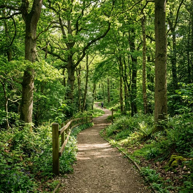 Cleaning in Bullbrook